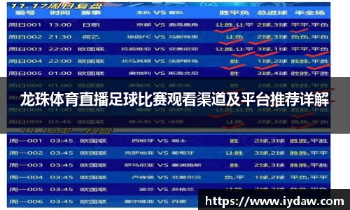 qy球友会体育