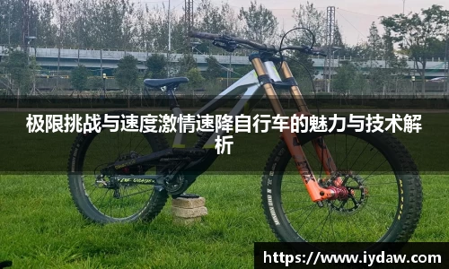 极限挑战与速度激情速降自行车的魅力与技术解析